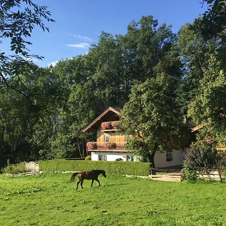 Apartment In Near Lift, Cleaning Included Walchen